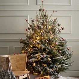 Christmas Tree & Decorations - Sustainable Christmas