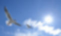 AdobeStock_88662781_edited.jpg
