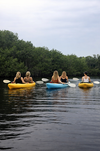 ChatGPT Image Feb 6, 2026 at 09_31_19 AM.png