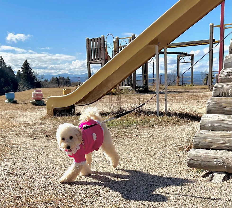 NO1032 不登校・学習障害・発達障害の皆様保護者様へ無料体験学習 !好評受付中!
