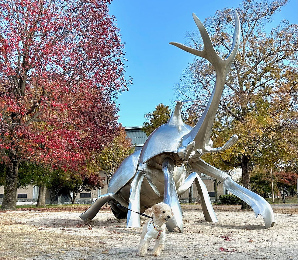 NO1025 発達障害・学習障害・不登校の皆様保護者様へ無料体験学習 !好評受付中!