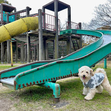 NO1028 発達障害・学習障害・不登校の皆様保護者様へ無料体験学習 !好評受付中!