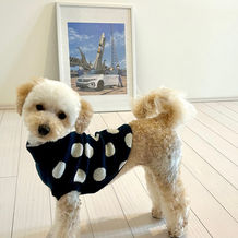 NO1053 発達障害★学習障害★不登校の皆様保護者様へ無料体験学習 !好評受付中!