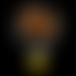 When An Idea Moves In: The Five Stages of Invention