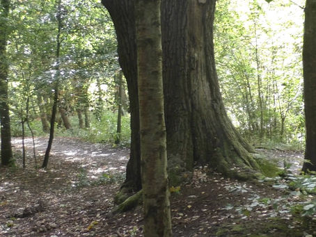 Loss ~Horror Short Film