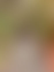 Guía express para los momentos de crisis emocional, estrés o ansiedad. Sigue estos 3 sencillos pasos