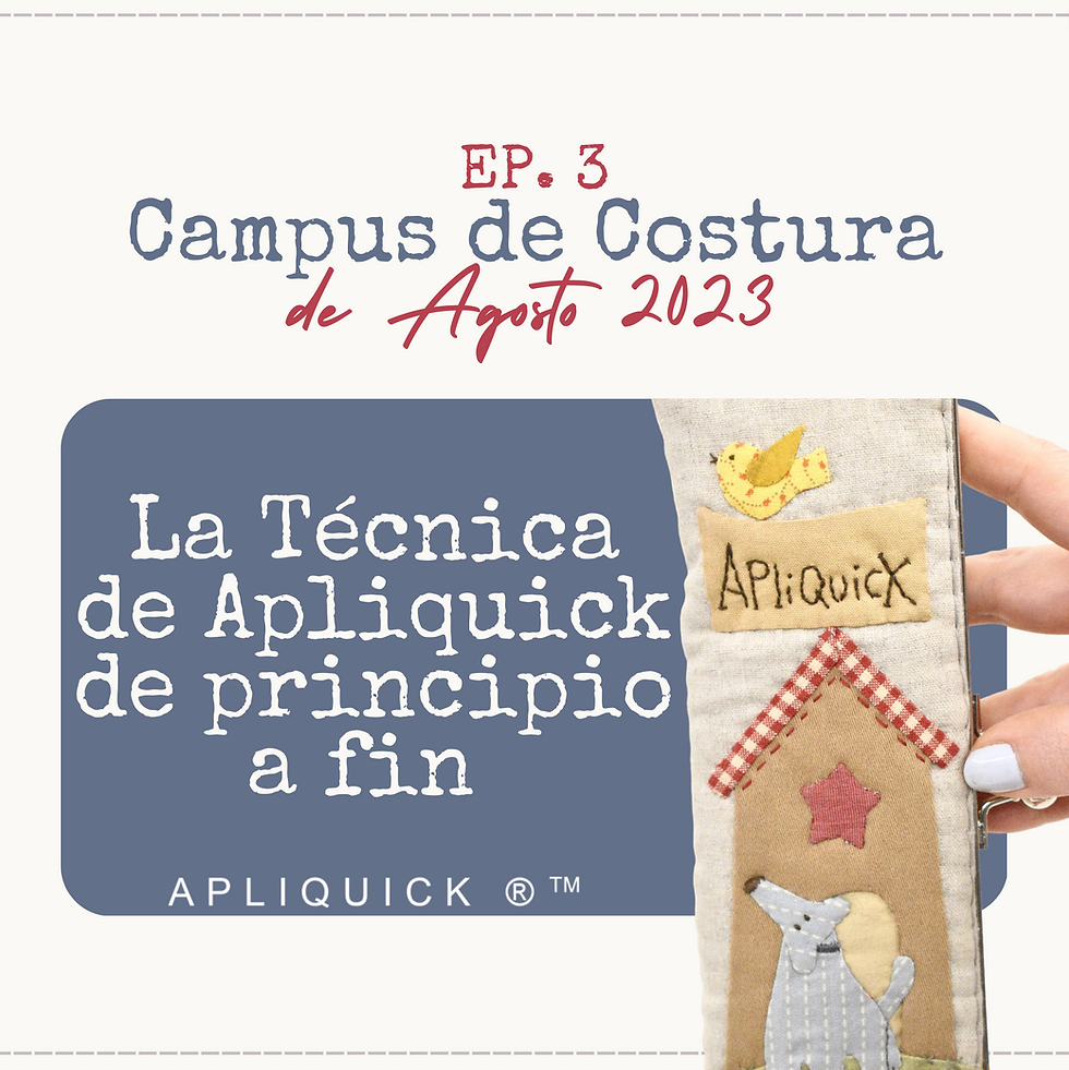 EP. 3: La Técnica de Apliquick de principio a fin - Guía definitiva
