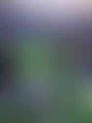 Image of a premium branded photo opportunity at an event with data capture included.