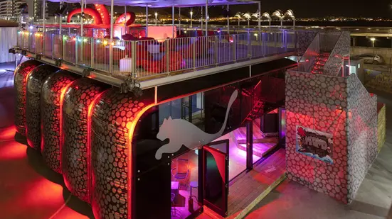 Airclad XDEK system for Puma in Alicante