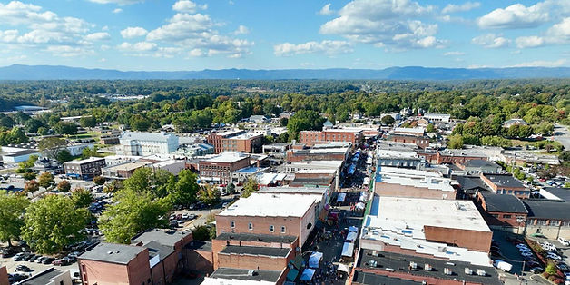 Aerial ALF (1)_edited.jpg