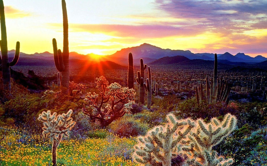 Tucson.jpeg
