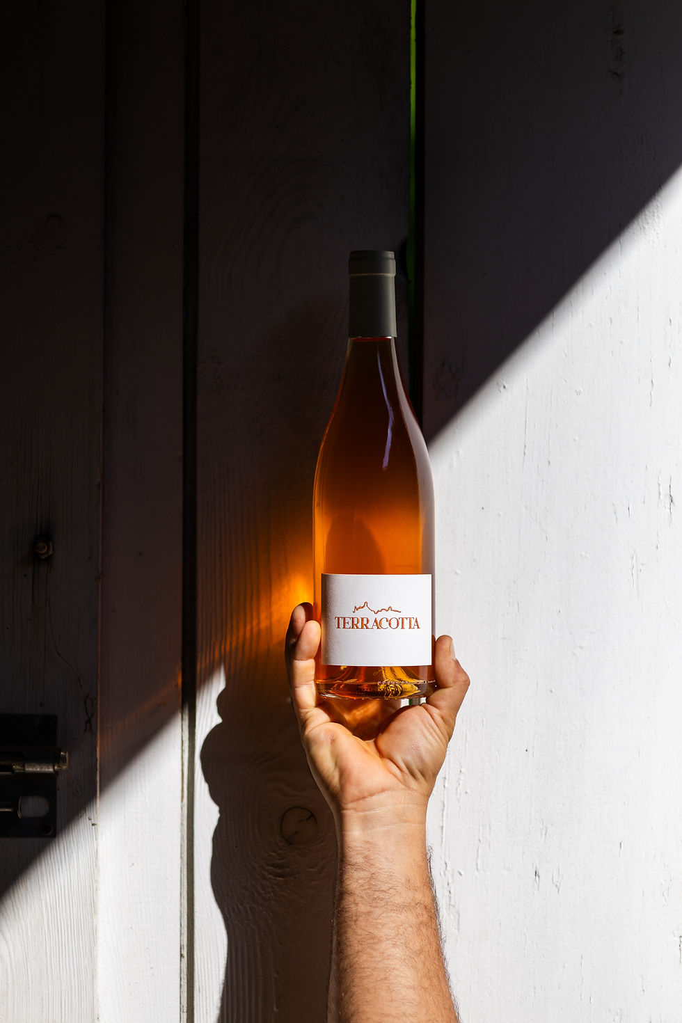 Terracotta - Vin Orange VDF Blanc