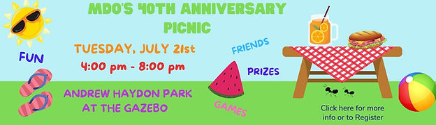 picnic 2025 banner(1).jpg
