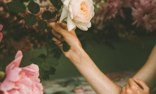Blossom