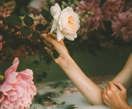 Blossom