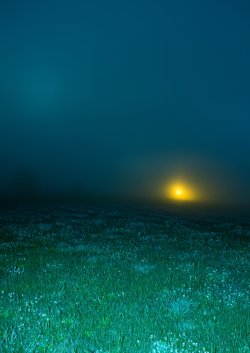 _notjusthanione_mees-290aa.png