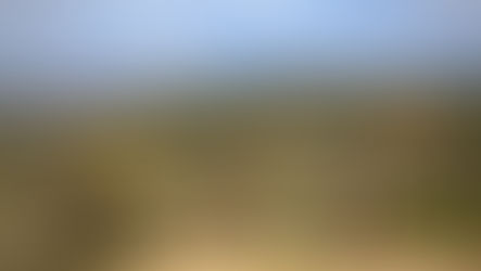 18 de Abril 2026.  Parque forestal La Atalaya 