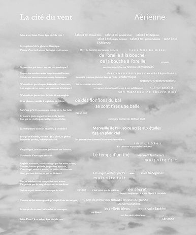  2016
"Conversation avec Camille" 
La cité du vent/L'aérienne Carole Manaranche