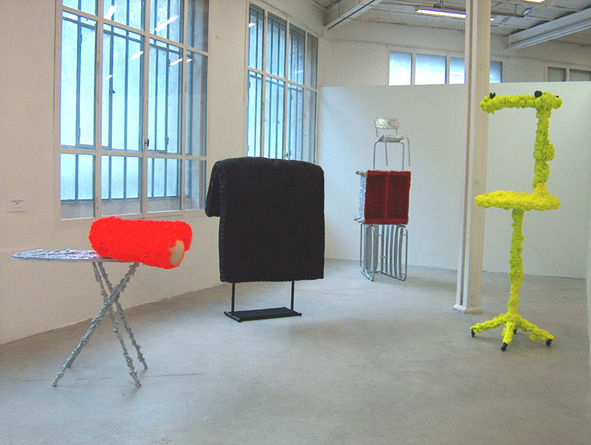 2006 
Centre d'art contemporain, le creux de l'enfer Carole Manaranche