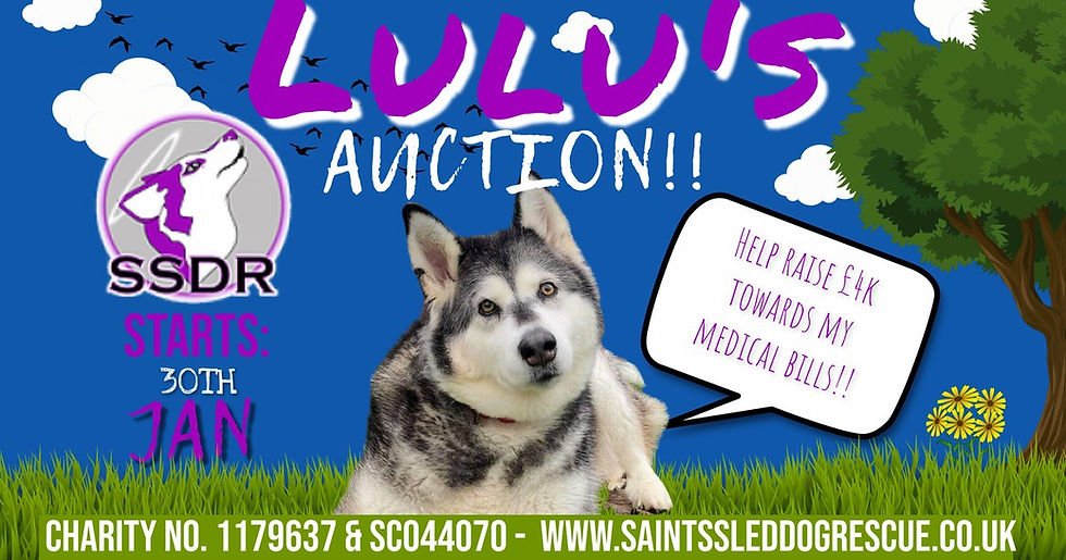 LULU's AUCTION