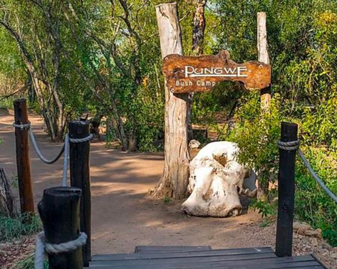 Pungwe Safari Camp
