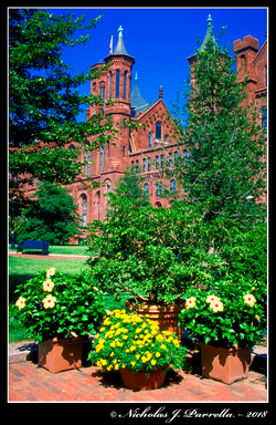 Haupt Garden