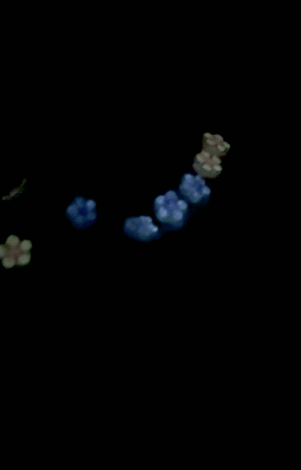 Thumbnail: Girls Flower Snap Clips, Small Glow in the Dark Hair Accessories, Pink Purple 