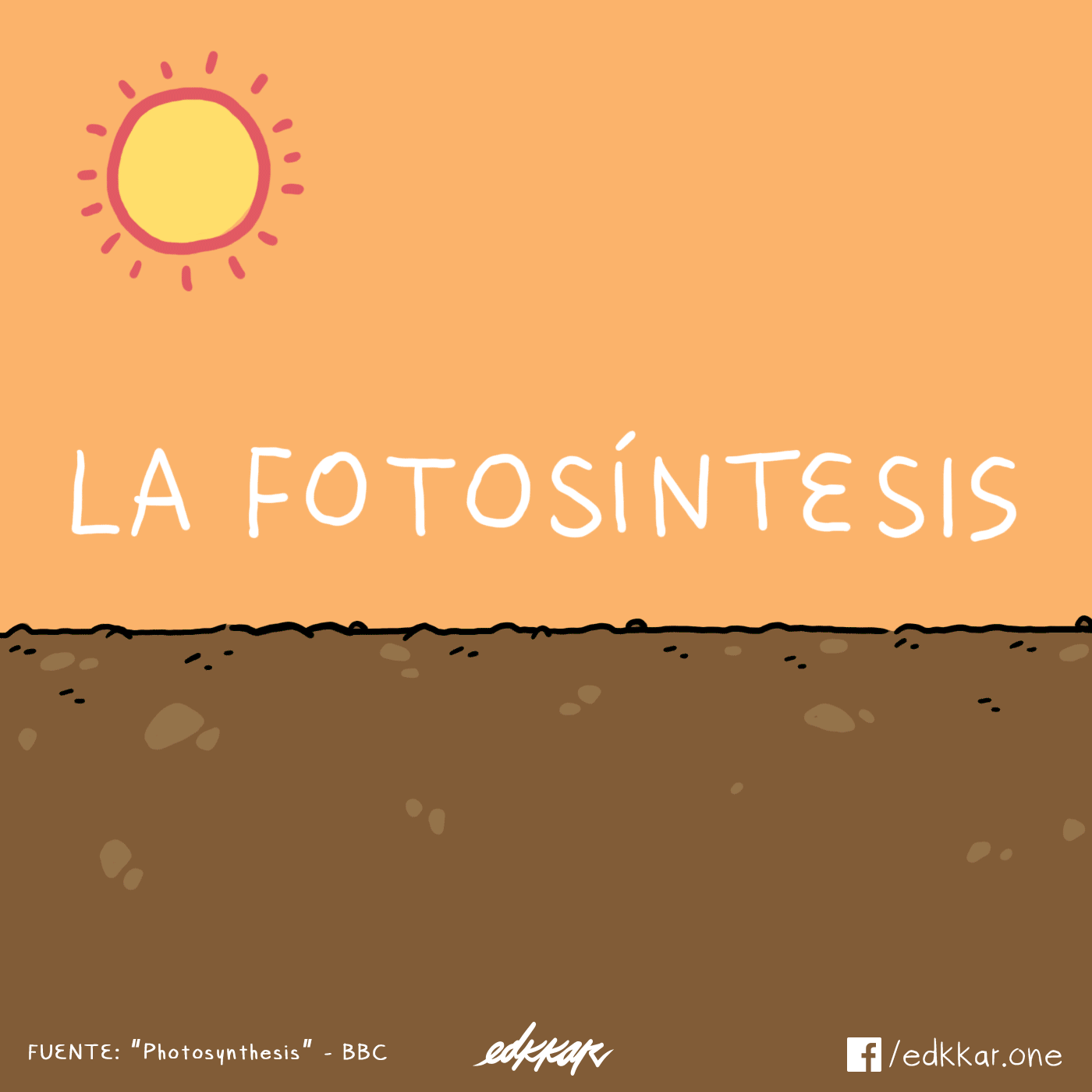fotosÃ­ntesis.gif