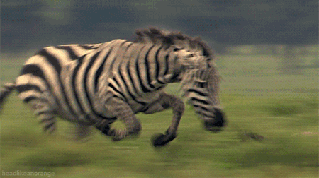 038519d777f6b253d09262c78787efaa.gif