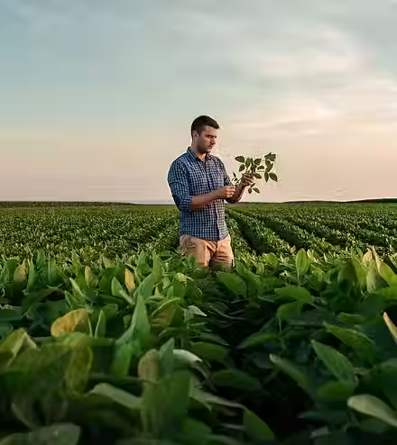 Farmer in Field.png.avif