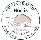Logo Noctis.jpg