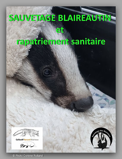 Sauvetage Wiki et rapatriement sanitaire A.jpg