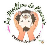 Logo Boules épiques.jpg