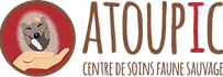 Logo ATOUPIC.png