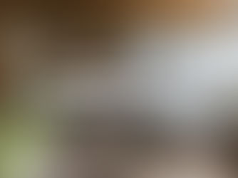 Phong cách thiết kế Mid-century Modern là gì? Hướng dẫn ứng dụng trong không gian sống