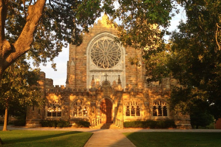 The University of the South