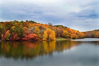 Grundy Lakes