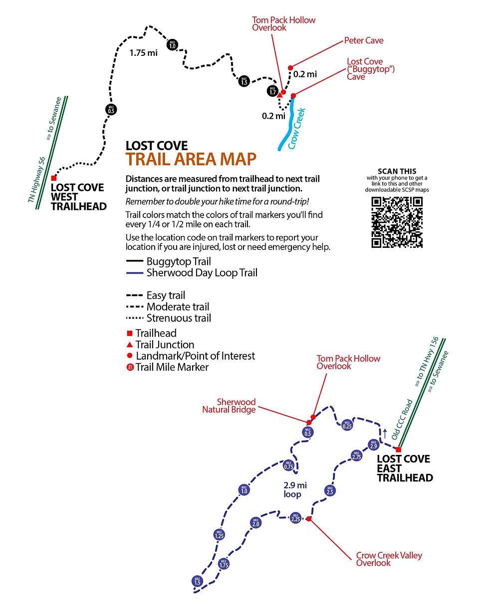 Buggytop (formerly Lost Cove West)