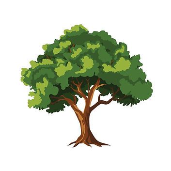 realistic-tree-illustration-isolated-vector.jpg