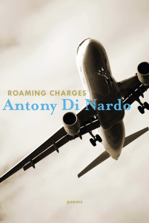 Writer: Poets on a Plane