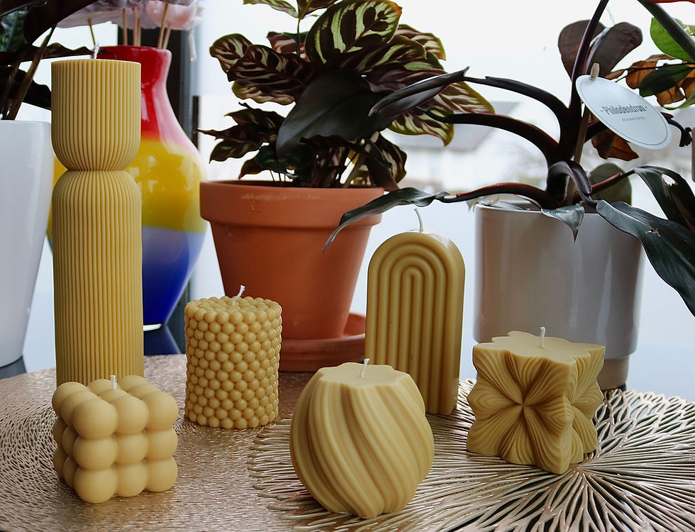 bougies décoratives couleur sable avec des plantes