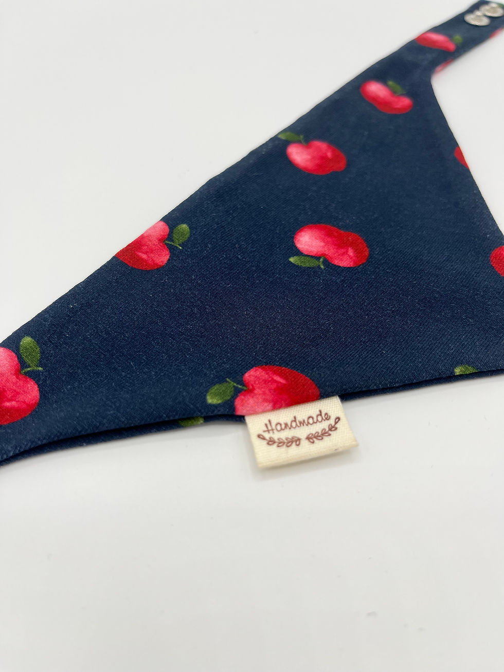 Miniaturbild: Halstuch "Apple Chic"