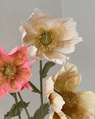 Giant crepe paper poppy flower on a stem workshop at Ventana Art Space 7 Kitchener Street Martinborough 9 August 2026