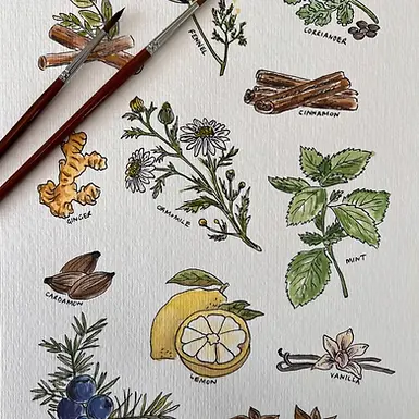 Watercolour botanical painting with gin and shared platter in winter glasshouse at Longbush Cottage Martinborough 22 August 2026