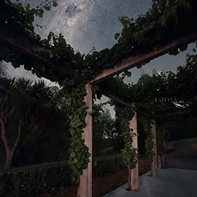Night sky filled with stars above Luna Estate promoting the sip & stargaze event in Martinborough