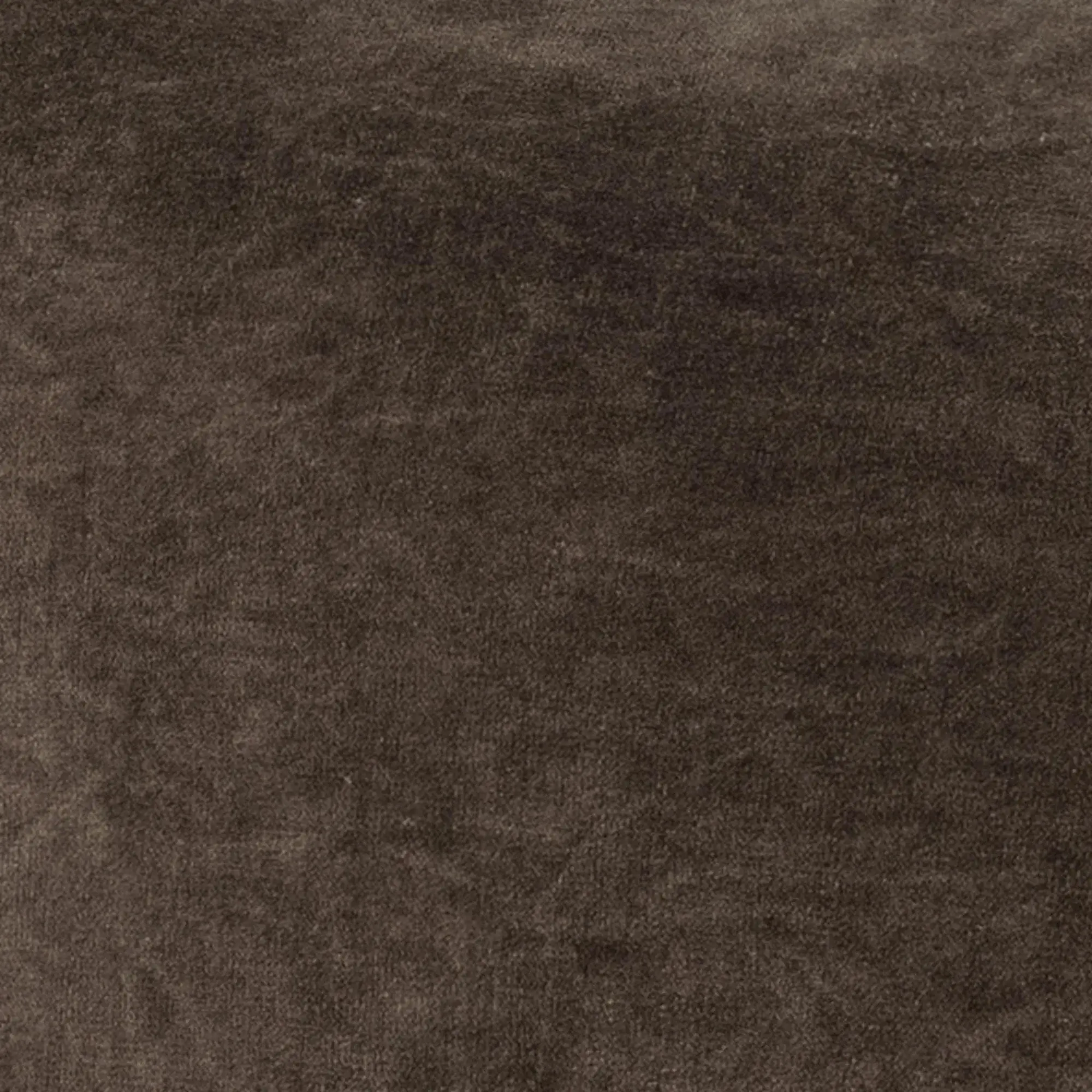 The Heirloom Velvet Collection- Desert
