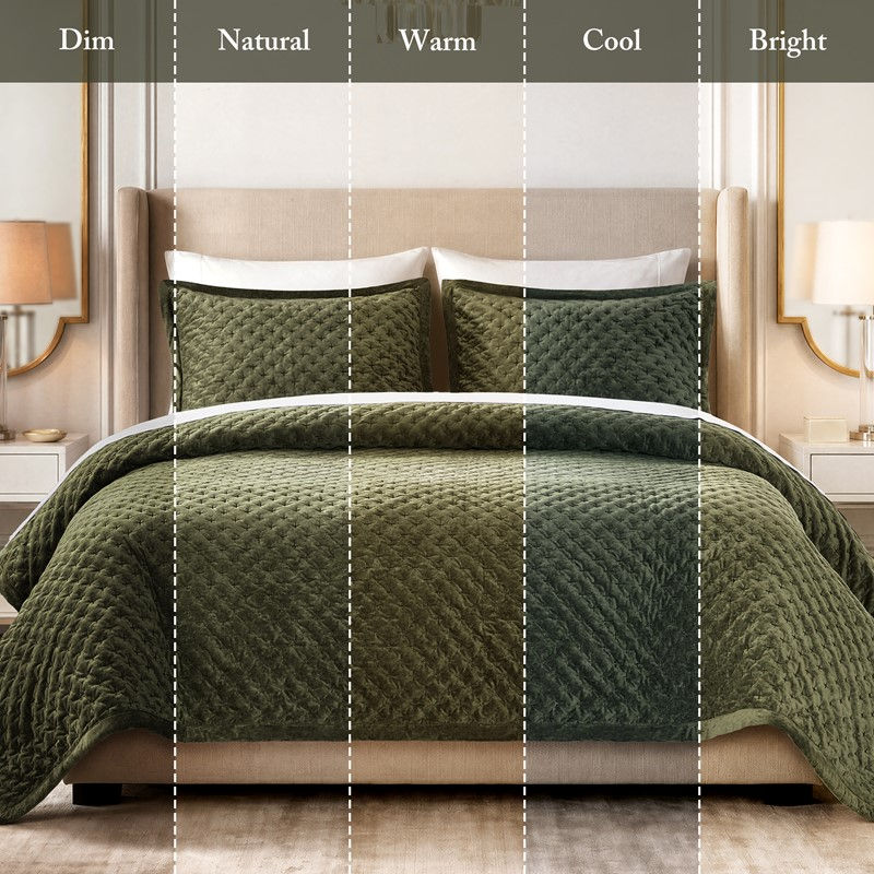 Charleston Velvet Coverlet Set