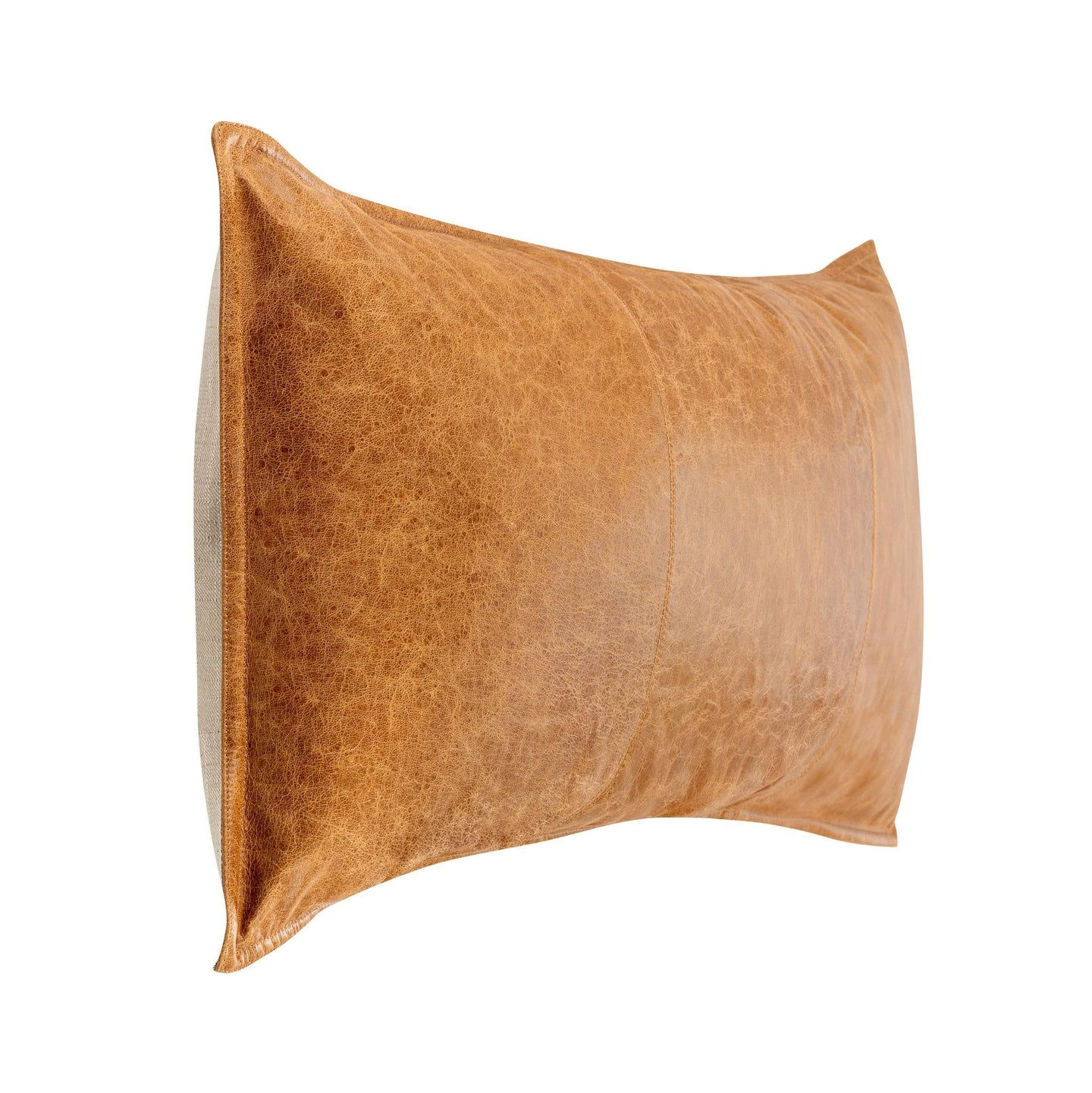 The Canyon Crest Leather Pillow