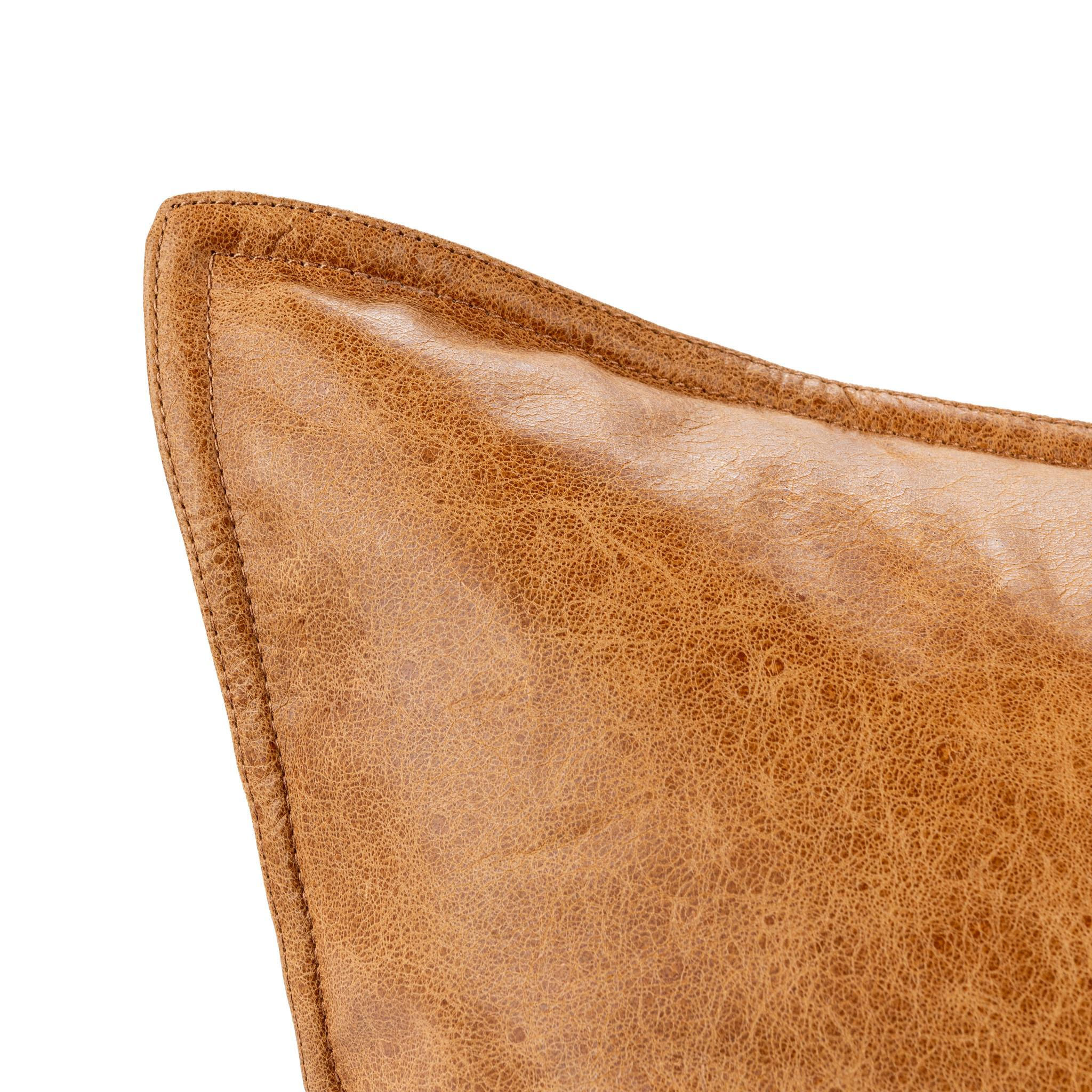 The Canyon Divide Leather Pillow