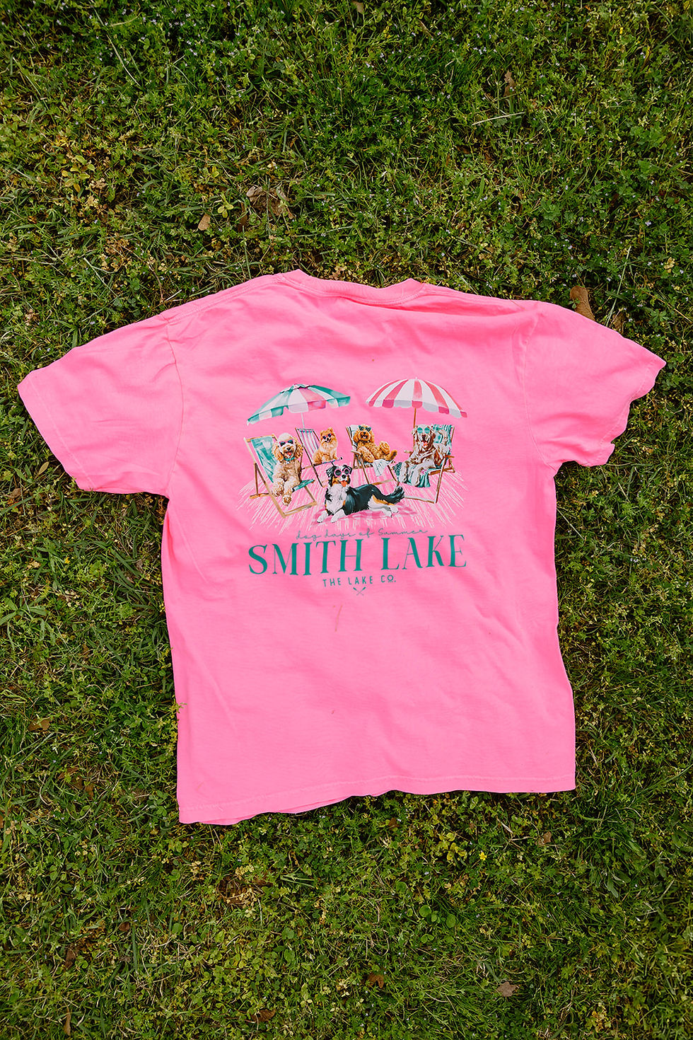 Thumbnail: Dog Days of Summer Tee